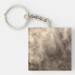 Buffalo Dust Key Ring