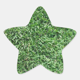 Buffalo grass star sticker