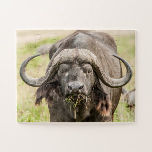Buffalo Grazing Jigsaw Puzzle