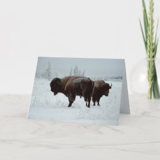 Buffalo greeting card