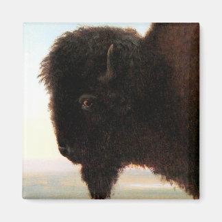 Buffalo Head art Albert Bierstadt bison painting Magnet
