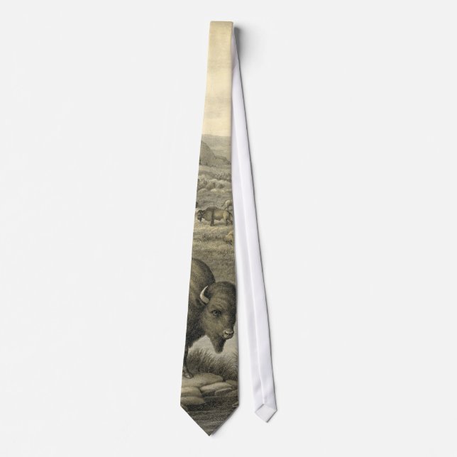 Buffalo Herd 1911 Tie (Front)