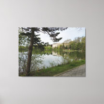 Buffalo History Museum Reflections