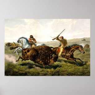 Buffalo Hunting in the USA Poster