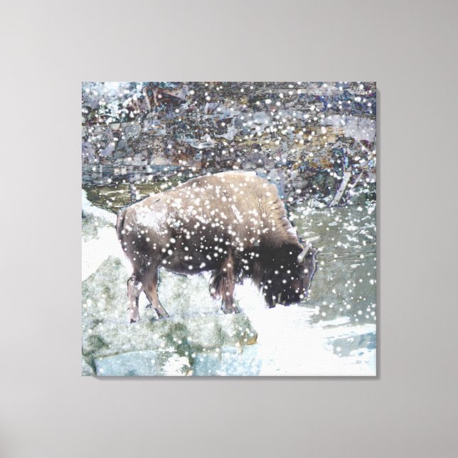 Buffalo in Snow Storm Wrapped Canvas Print (Front)