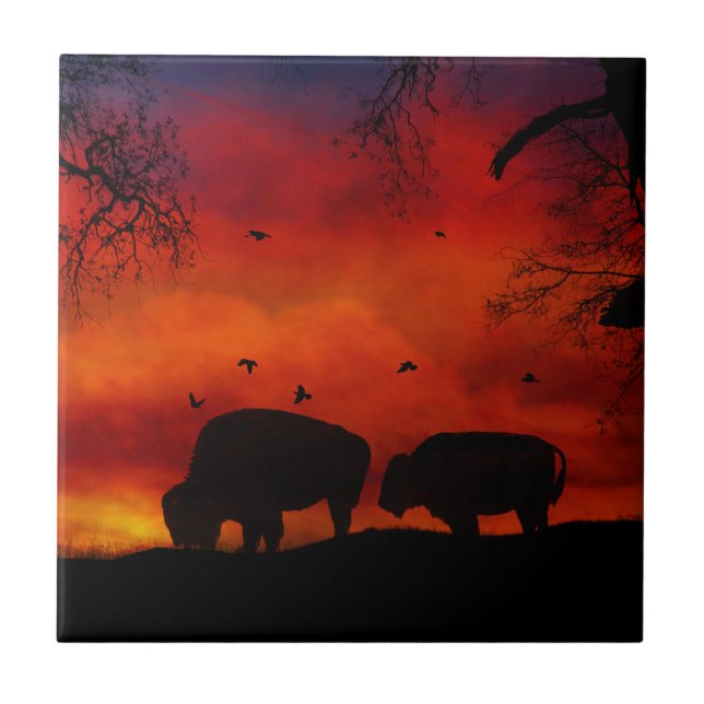 Buffalo in the Sunset Art Tile (Front)