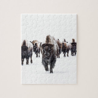 Buffalo Jigsaw Puzzle