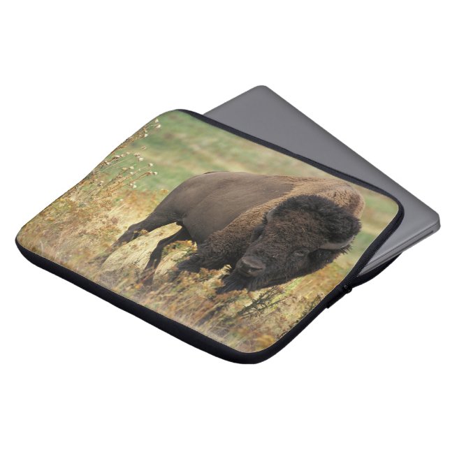 Buffalo Laptop Sleeve (Front Top)