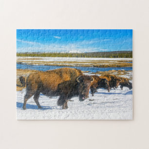 Buffalo Montana. Jigsaw Puzzle