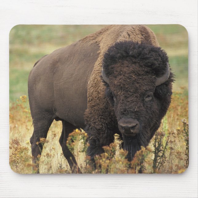 Buffalo Mouse Pad (Front)