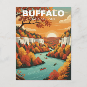 Buffalo National River Arkansas Postcard
