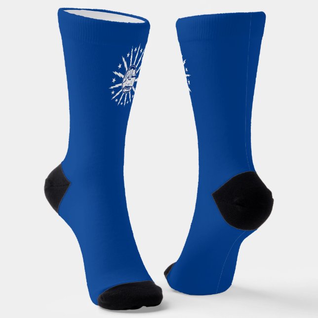 Buffalo (New York) city flag Socks (Angled)