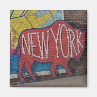 Buffalo New York