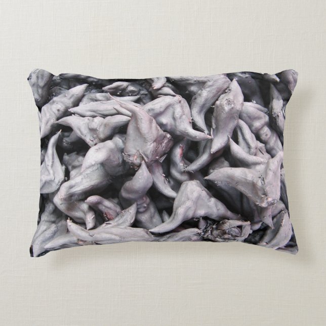 Buffalo Nuts - Water Caltrop Decorative Cushion (Front)