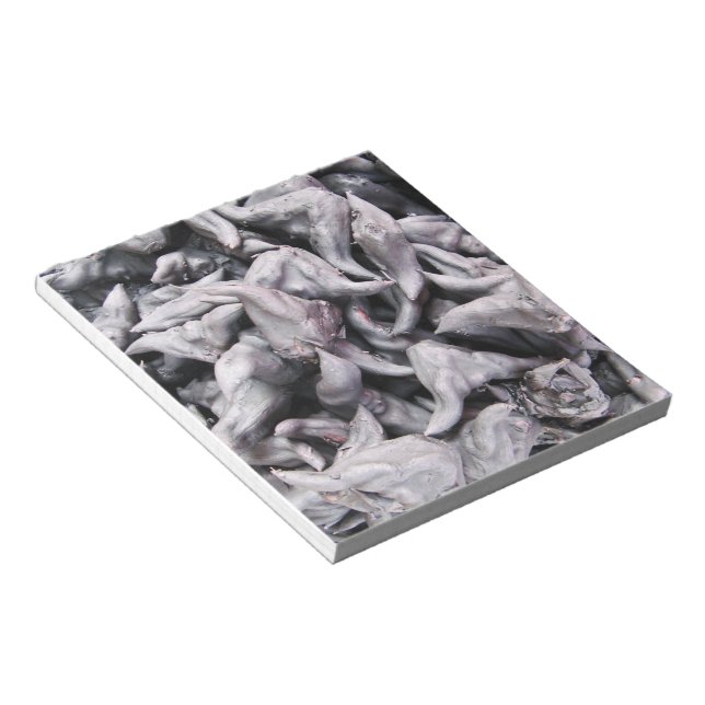 Buffalo Nuts - Water Caltrop Notepad (Angled)