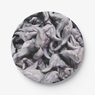 Buffalo Nuts - Water Caltrop Paper Plate