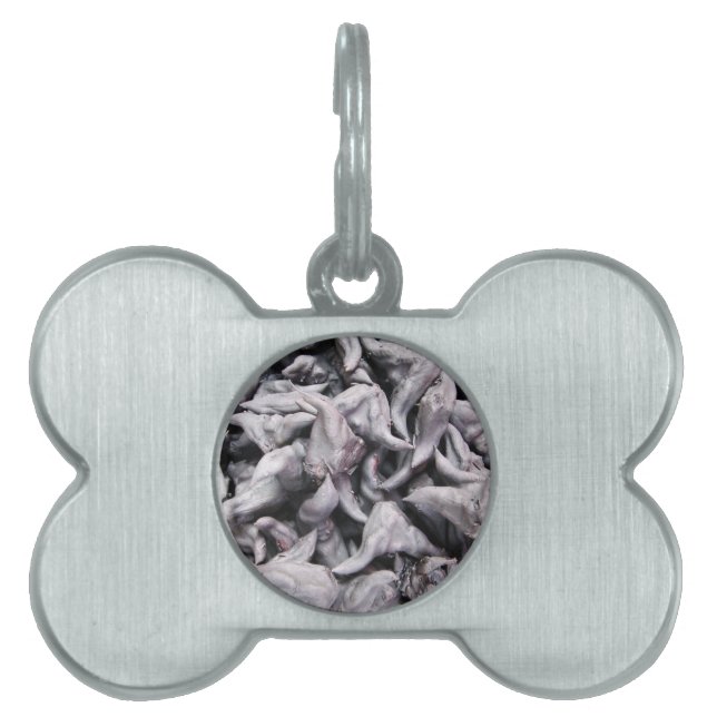 Buffalo Nuts - Water Caltrop Pet ID Tag (Front)