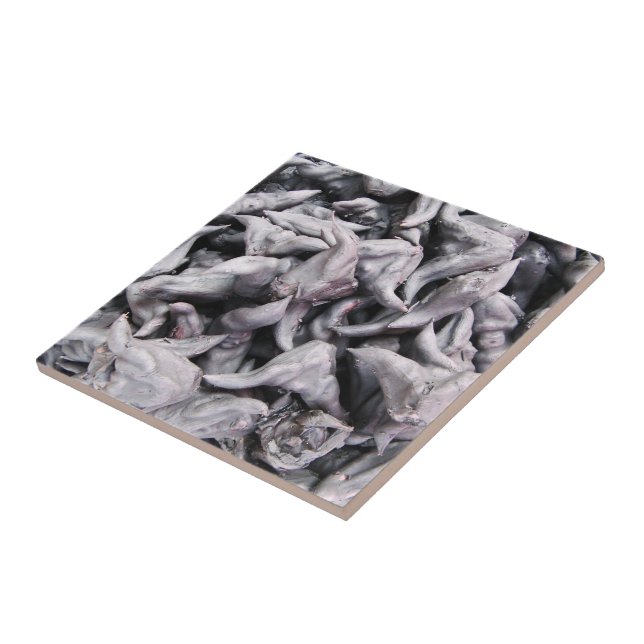 Buffalo Nuts - Water Caltrop Tile (Side)