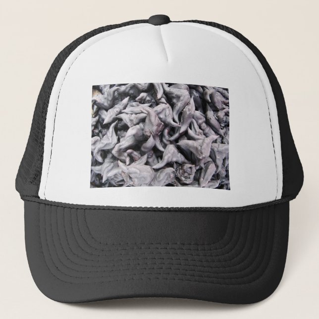 Buffalo Nuts - Water Caltrop Trucker Hat (Front)