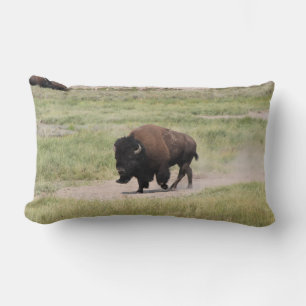 Buffalo on the move, Photography Lumbar Cushion