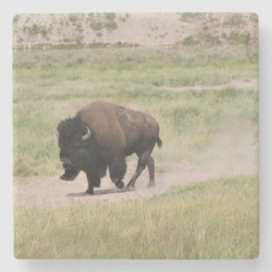 Buffalo on the move, Photography Stone Coaster