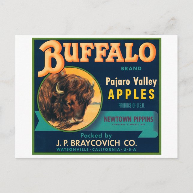 Buffalo Pajaro Valley Apples Vintage Crate Label Postcard (Front)