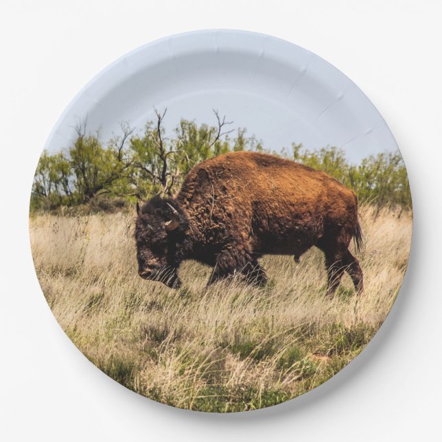 Buffalo Paper Plate (Front)