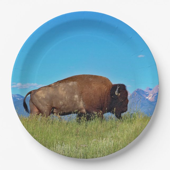 Buffalo Paper Plates (Front)