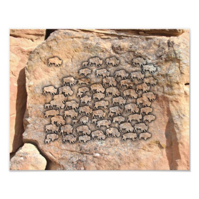 Buffalo Photo Print (Front)