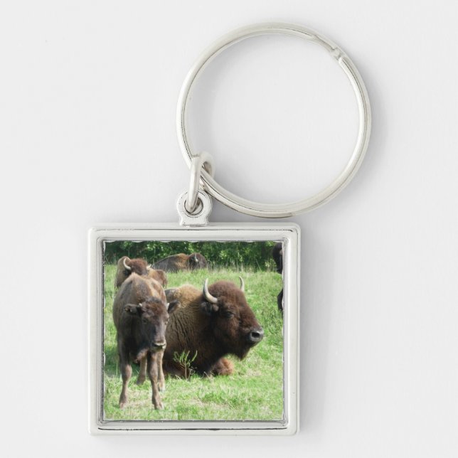 Buffalo Picture Keychain (Front)