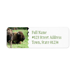 Buffalo Picture Mailing Lab ble