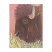 Buffalo