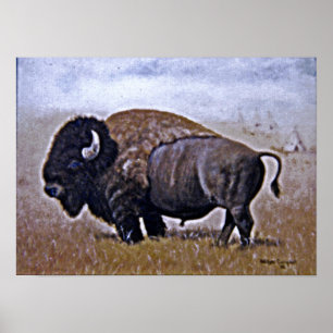 Buffalo Poster