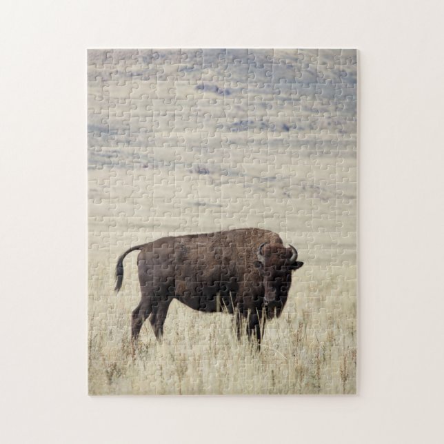 Buffalo Puzzle (Vertical)