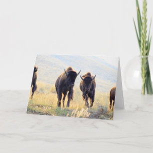 Buffalo Running Greeting Card