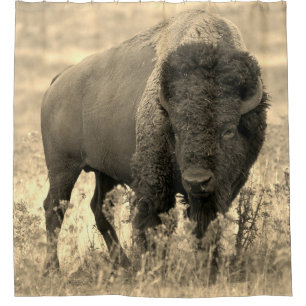 Buffalo Shower Curtain