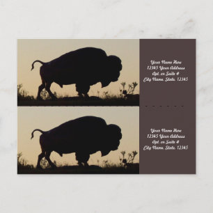 Buffalo Silhouette Bookmarkers Postcard