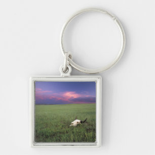 Buffalo Skull in Prairie Grass near Medora Key Ring