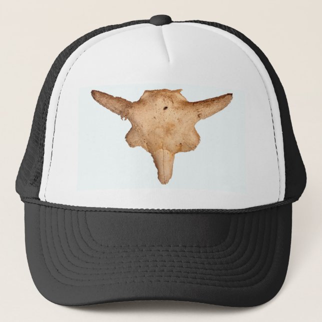 Buffalo Skull Trucker Hat (Front)