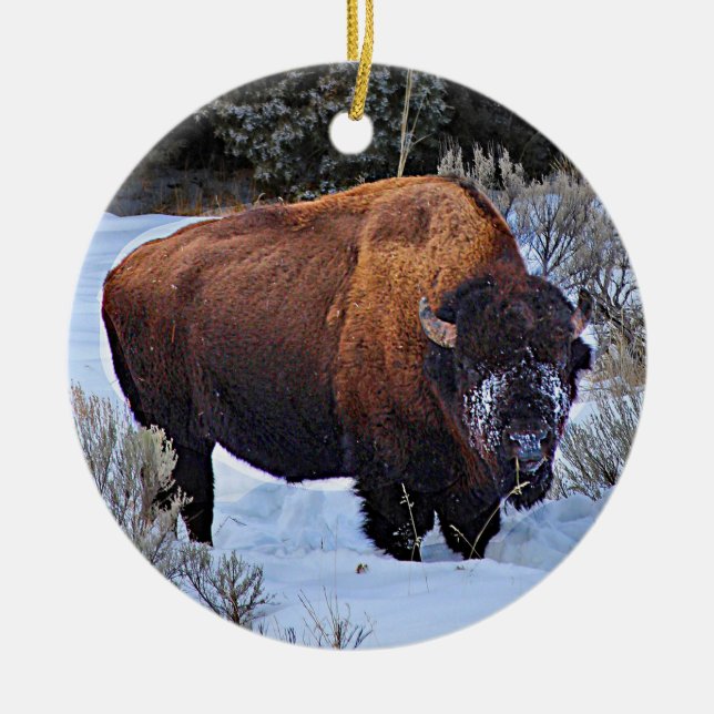 Buffalo Snow Photo Ceramic Tree Decoration (Front)