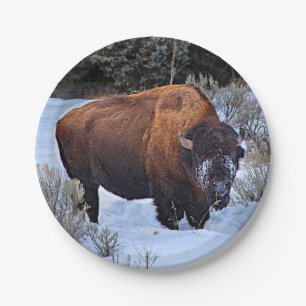 Buffalo Snow Photo Paper Plate
