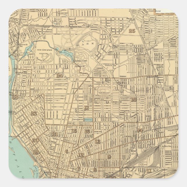 Buffalo Square Sticker (Front)