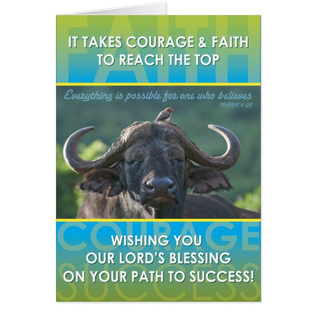Buffalo Success (Front)
