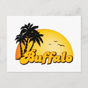 Buffalo Sun Postcard