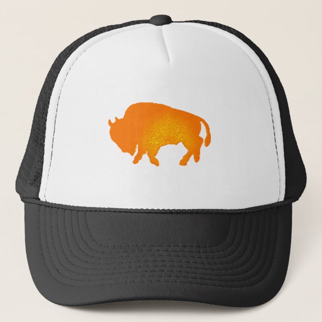 Buffalo Sun Trucker Hat (Front)