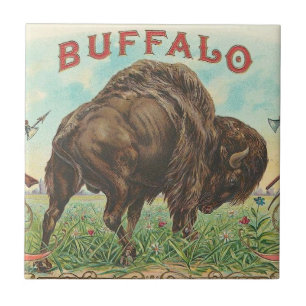 Buffalo Tile