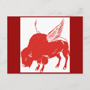 Buffalo Wings Postcard