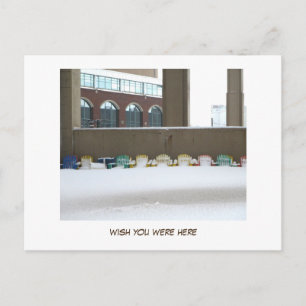 Buffalo Winters (wish you were here) Postcard