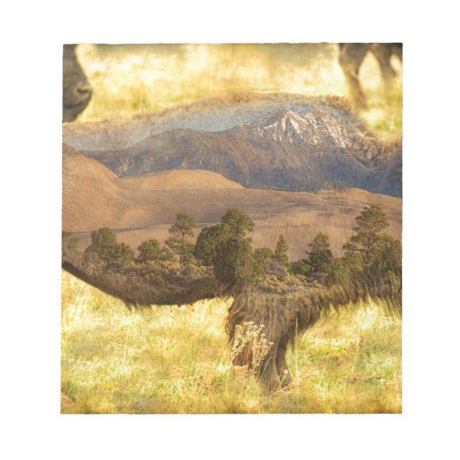 Buffaloe Sand Dunes Notepad (Front)