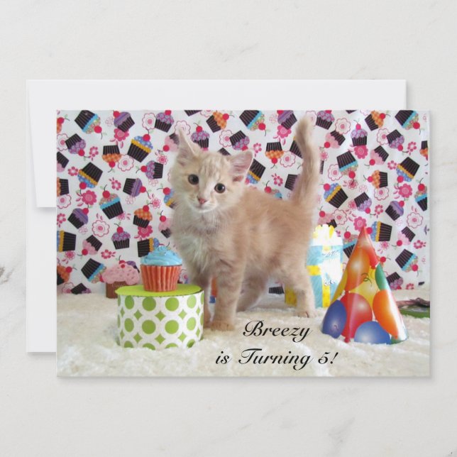 Buffington's (cat/ kitten) Birthday Invitation (Front)